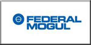 Federal Moghul